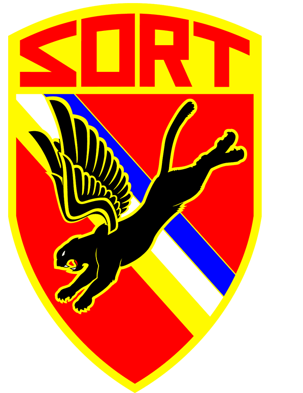 SORT logo